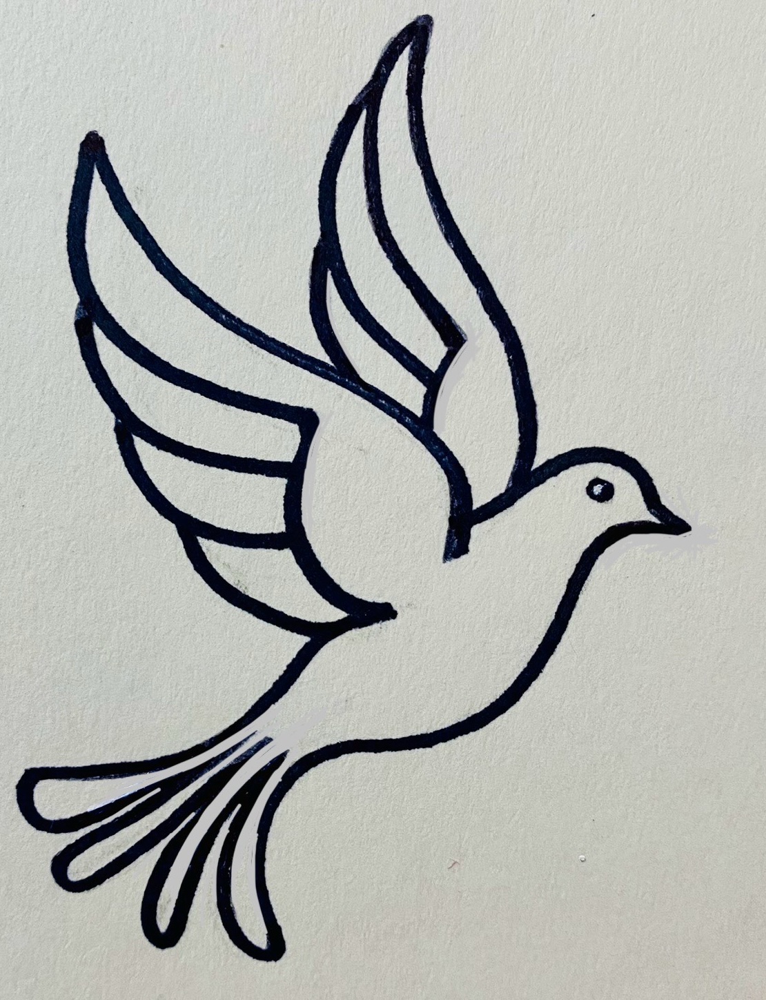 White dove